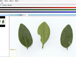 植物表型分析系统
